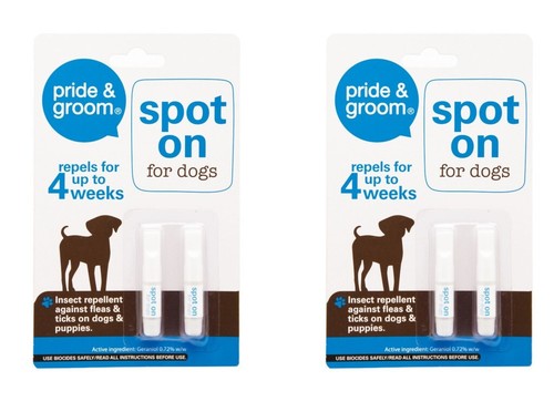 Vials clear spot flea - 4,