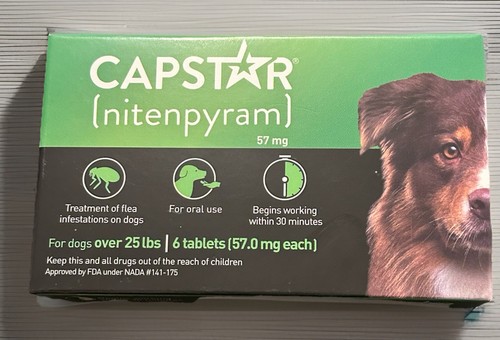 Capstar dog flea treatment - flea,