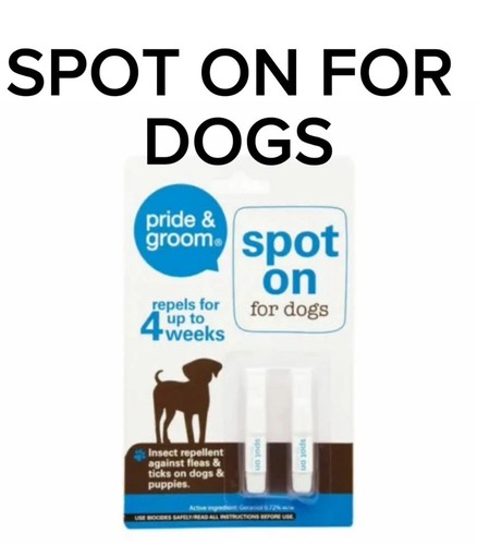 Pride groom spot flea and - on,