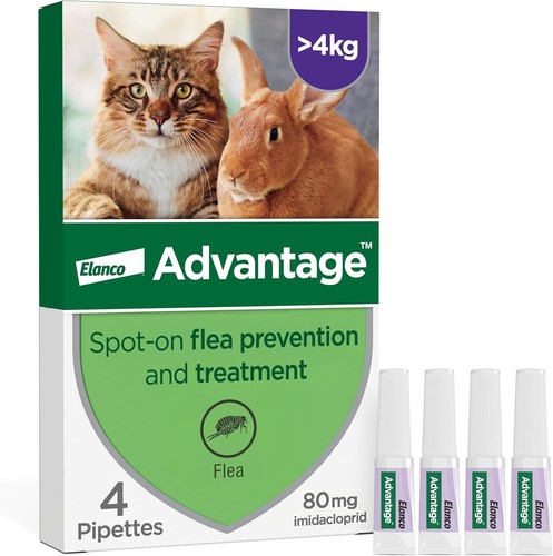 Spot flea treatment - spot,