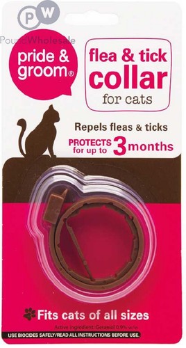 Dog cat flea - cat, spot