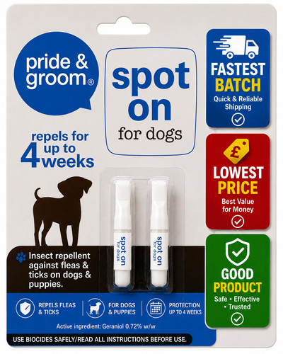 Pride groom spot flea - pride, on