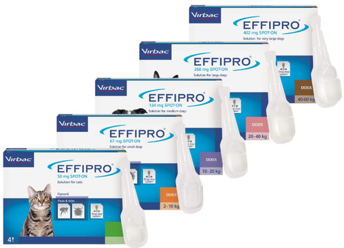 Spot flea treatment - spot,