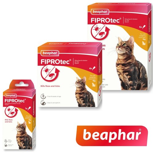Cat flea treatment beaphar - cat,