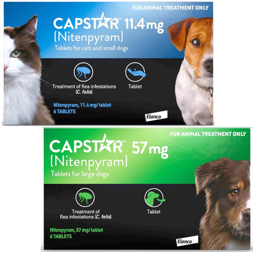 Capstar dog cat - cat, flea