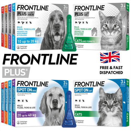 Frontline spot plus cat - plus,