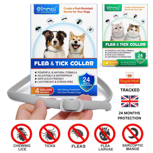 Dog cat flea - flea, treatment