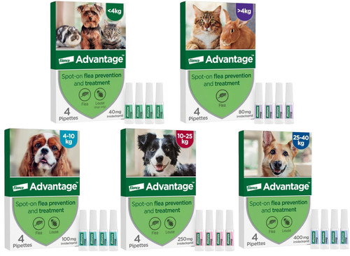 Spot flea treatment - treatment, for