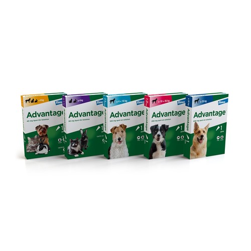 Elanco spot solution flea - spot,