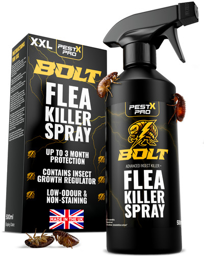 Flea killer spray 500ml - killer,