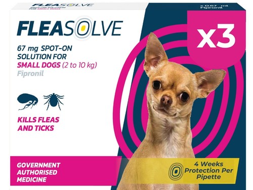 Spot small dog flea - spot, on