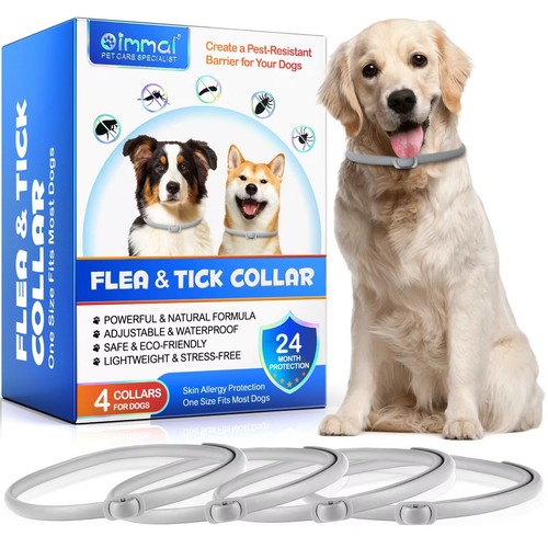 Dog flea tick - dog,
