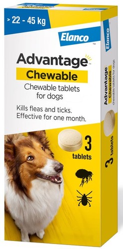 Dog flea and tick treatment - and,