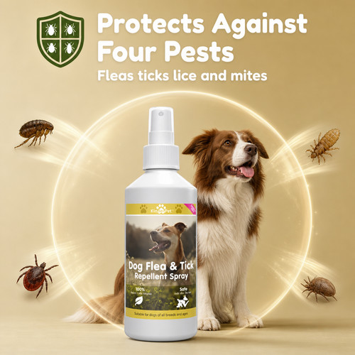 Dog flea killer treatment - flea,